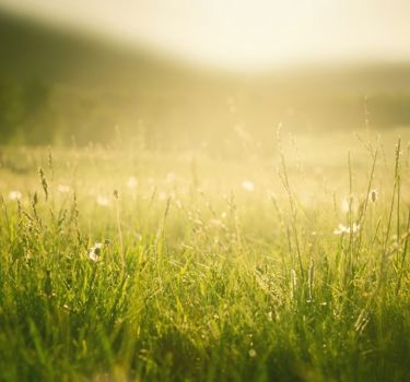 WEBSITE IMAGE SUSTAINABILITY.Jpg V4 (1)