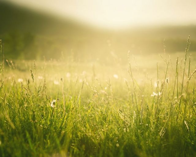 WEBSITE IMAGE SUSTAINABILITY.Jpg V4 (1)