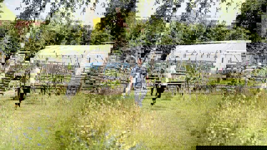 To Use As Third Image And Credit The Small Holding (Credit Key & Quill) (2)