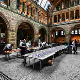 BAZ Compass Event 2022 Nat. Hist. Museum 12