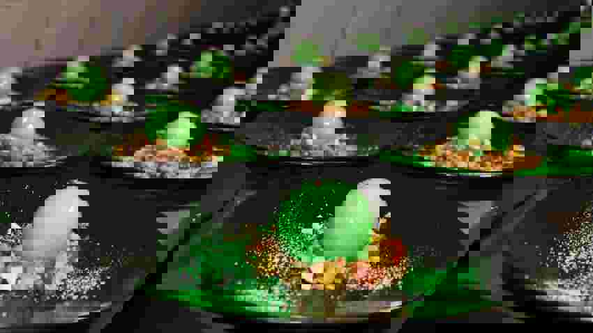 IMG 2855