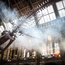 BAZ Compass Event 2022 Nat. Hist. Museum 17