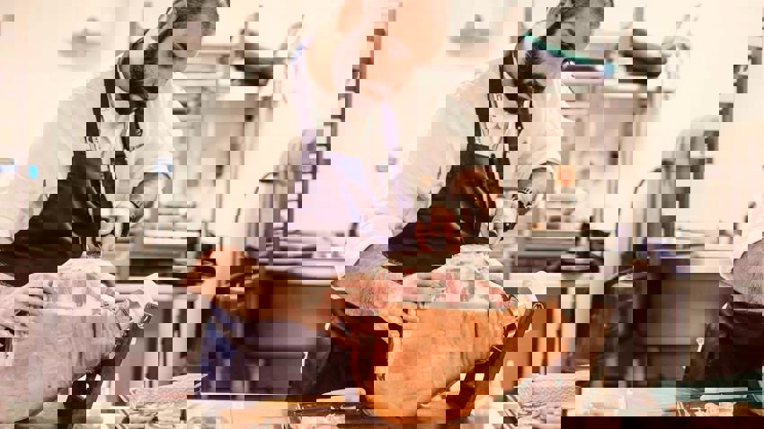 1000120071